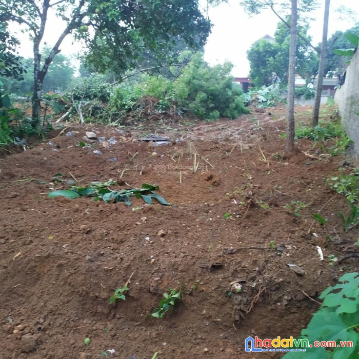 Chính chủ cần bán lô đất 161m2 tại thôn trại vòng, xã quang sơn, tp tam điệp,tỉnh ninh bình