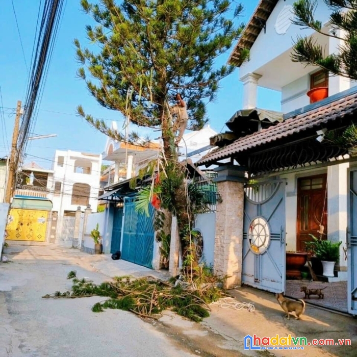 Bán biệt thự tân tiến biên hòa đồng nai