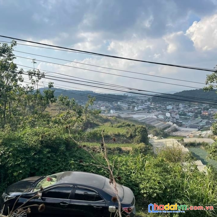 Bán gấp đất nền biệt thự view đẹp mặt tiền đường mẫu tâm, đà lạt 308m2 giá chỉ 15 tỷ