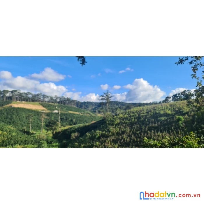 Ngộppppp...... bán gấp 1000m2 đất rộng view đẹp đầu xuân thọ, đà lạt giá chỉ 1 tỷ