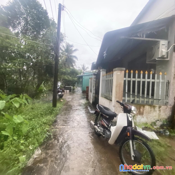 Bán nền 132m²  tân phú đông tp sa đéc.