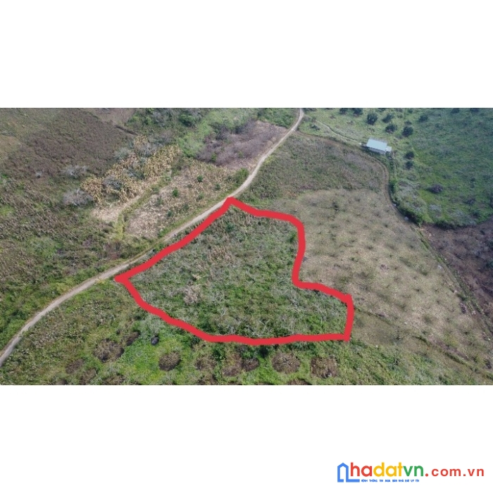  bán đất nền mộc châu ,trung tâm thị trấn nông trường 1400m2