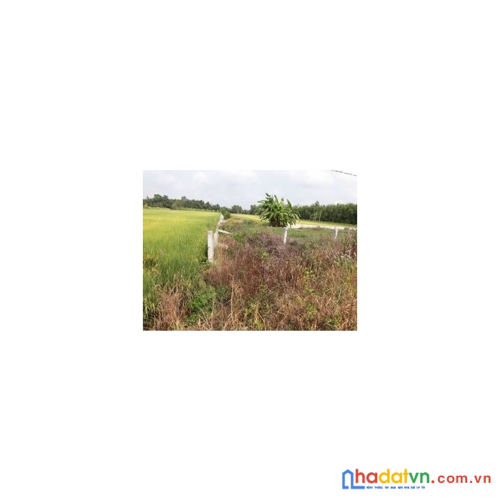 Chính chủ bán 3 lô đất ở khóm 1, phường 2, thị xã ngã năm, tỉnh sóc trăng.