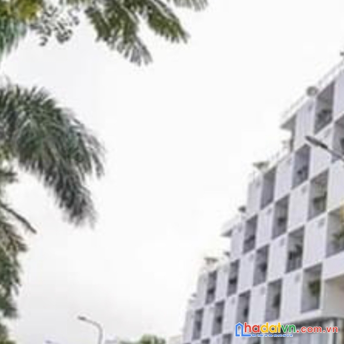 Cần bán đất nền hòa lạc , chính chủ bán 60m2 giá chỉ 1ty tại khu tân xã gần khu công nghệ cao