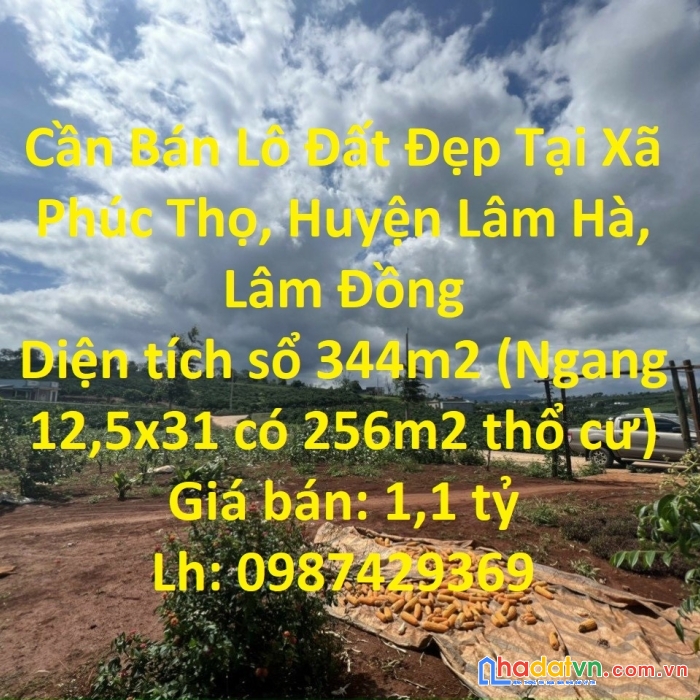 Cần bán lô đất đẹp tại xã phúc thọ, huyện lâm hà, lâm đồng
