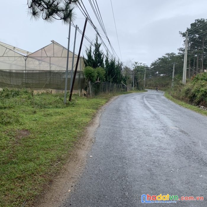 Cần bán gấp lô đất mặt tiền đường cam ly, p7 giá chỉ 3 triệu/m2