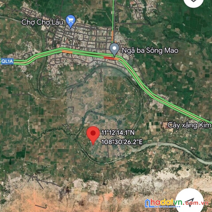 Bàn 1 hec ta đât .10 xào vườn trồng thanh long. bình thuận .gia 3.8ti