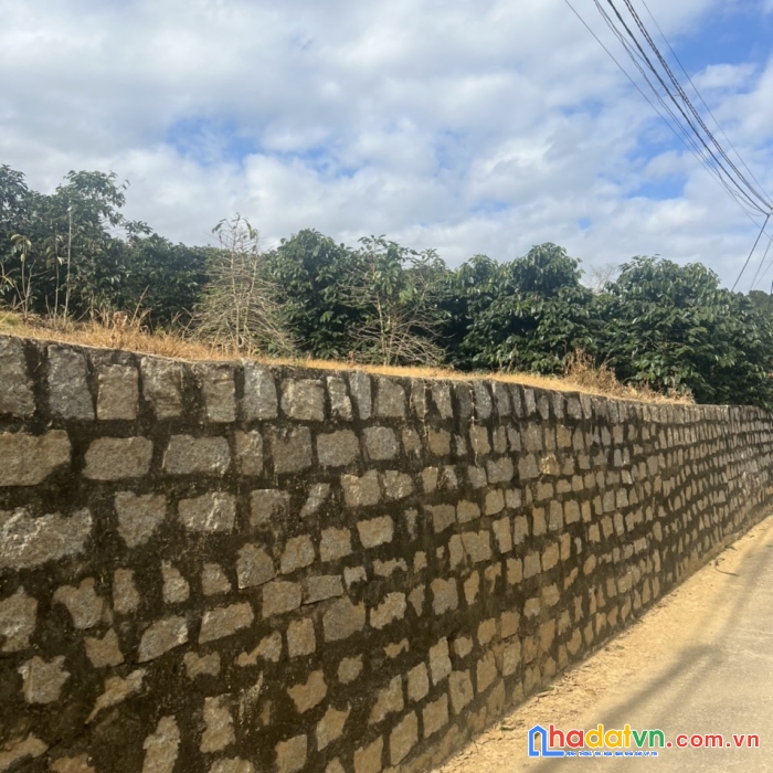 Bán gấp đất nền view đẹp tại xuân thọ, đà lạt 500m2 giá chỉ 2.7 tỷ