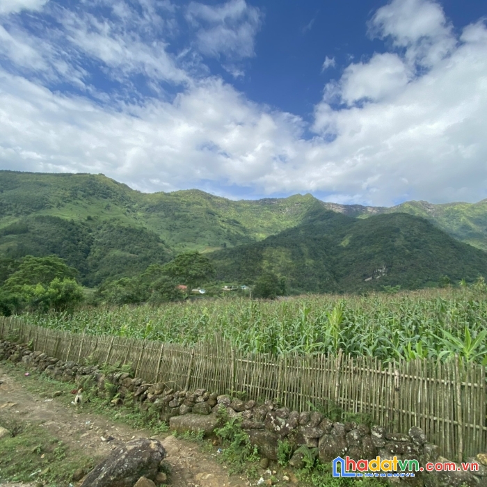  bán đất nền khu du lịch quốc gia y tý sapa2 ,5500m2 có thổ cư