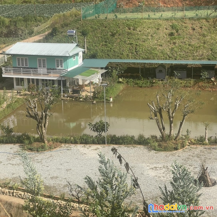 Bán 1 hecta đất làm farm cách trung tâm đà lạt 15km