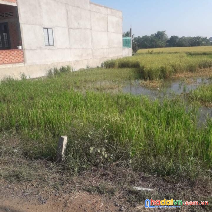 Cần bán lô đất vị trí đắc địa tại huyện đức hoà, tỉnh long an.