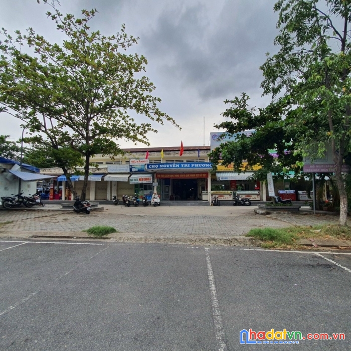 Bán đất mt đối diện chợ, p. hoà cường, hải châu,buôn bán kinh doanh đỉnh, giá nhỉnh 6 tỷ.