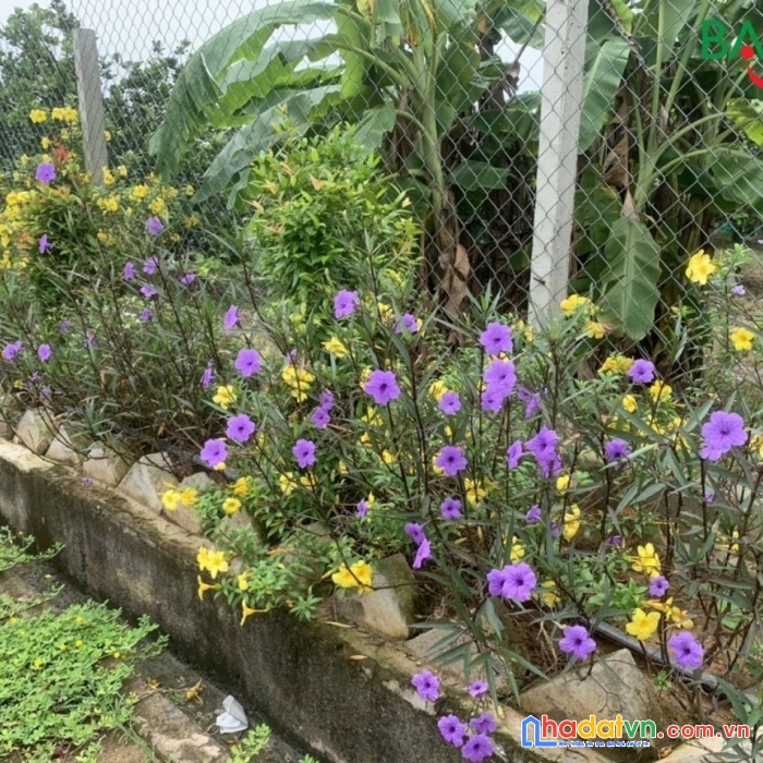 Bán lô đất biệt thự đẹp 14x29 (406m2), giá chỉ 3.4 tỷ, xã tân bình, vĩnh cửu, shr, đường nhựa oto.
