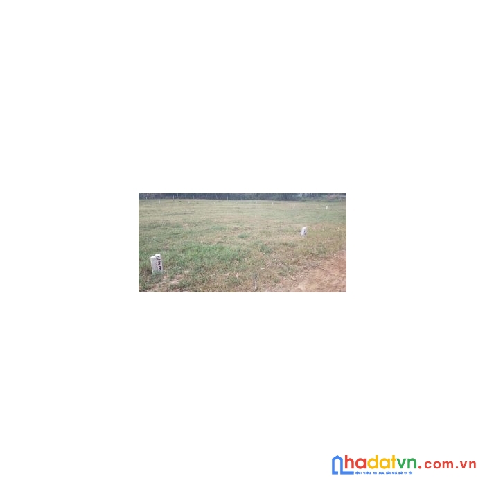 Chính chủ cần bán đất tại : ấp bàu đưng – xã tân phong – huyện tân biên – tỉnh tây ninh