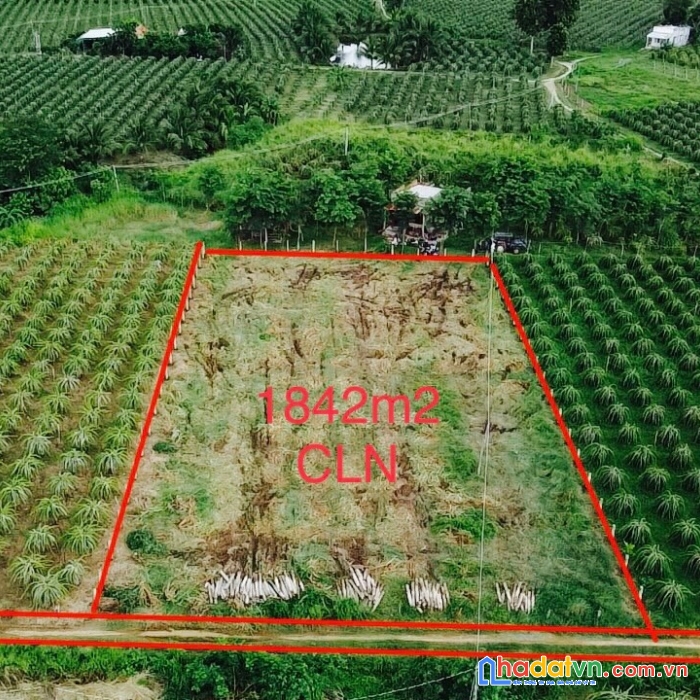 Khai xuân đầu năm 2023 cần bán nhanh lô đất siêu đẹp tại hàm thuận nam