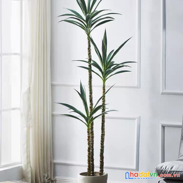 Bán nhà bạch mai hai bà trưng 24m2 x 4 tầng, mt 3.6m giá 2.9 tỷ