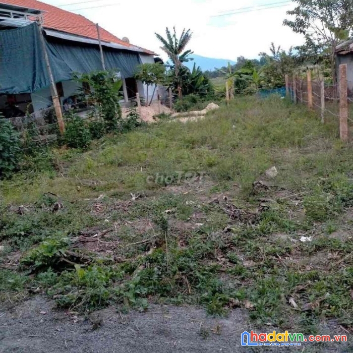 Chính chủ cần bán gấp lô đất đẹp xã ninh xuân, thị xã ninh hòa, khánh hòa