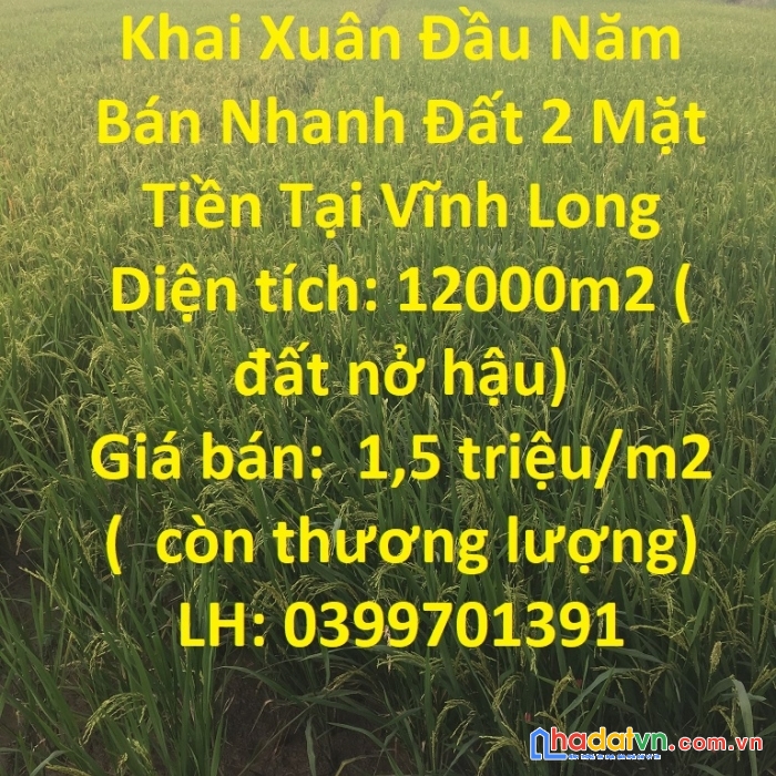 Khai xuân đầu năm bán nhanh đất 2 mặt tiền tại vĩnh long