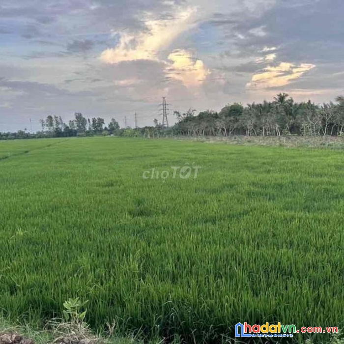 Khai xuân đầu năm chính chủ cần bán đất tại đồng tháp