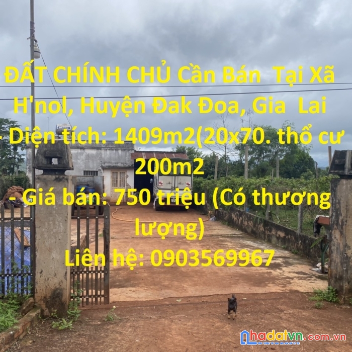 Đất chính chủ cần bán  tại xã h'nol, huyện đak đoa, gia  lai
