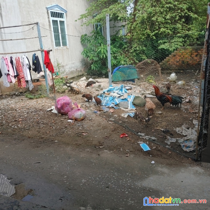 Khai xuân chính chủ cần bán lô đất đẹp vị trí đắc địa tại tỉnh vĩnh long