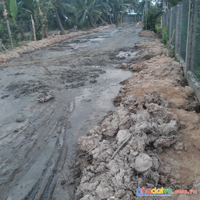 Chính chủ bán nhanh đất vị trí đẹp tại ấp thanh sơn, xã thanh tân, mỏ cày bắc, bến tre