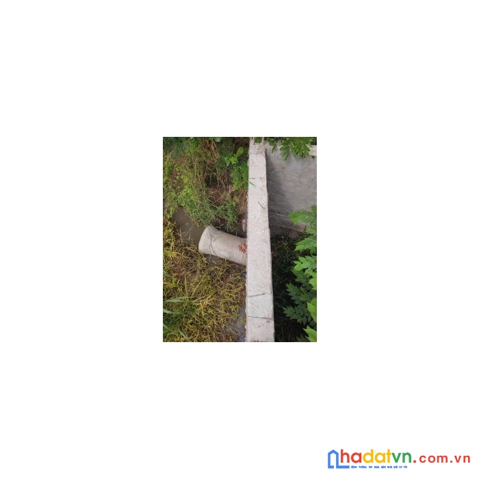 Chính chủ cần bán đất tại : đường nam kinh 10 – thị trấn cái dầu – huyện châu phú – tỉnh an giang