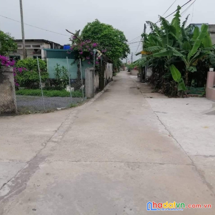 Chính chủ cần bán lô đất tại thôn lợi thành – xã đông quý  – huyện tiền hải – tỉnh thái bình .