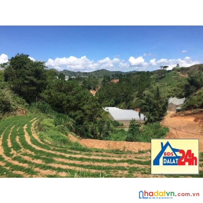 Bán gấp 2009m2 đất rộng view thoáng đường nguyễn hoàng, đà lạt