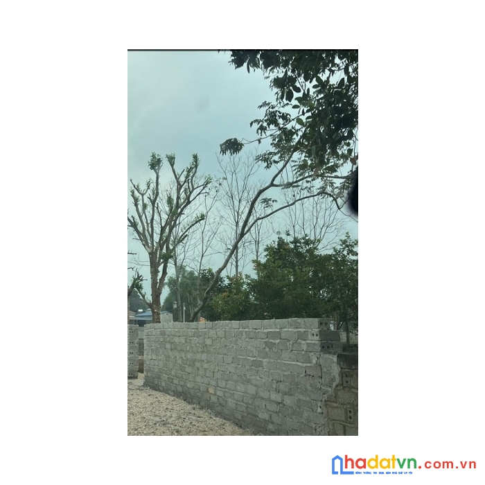 Bán gấp mảnh đất 436m2 sổ đỏ tại an phú, mỹ đức, hà nội