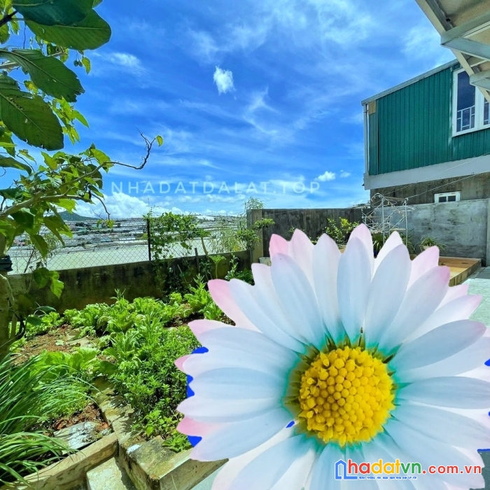 Villa đẹp sổ riêng xây dựng trên đường trịnh hoài đức, phường 11, tp. đà lạt, giá bán 9,5 tỷ