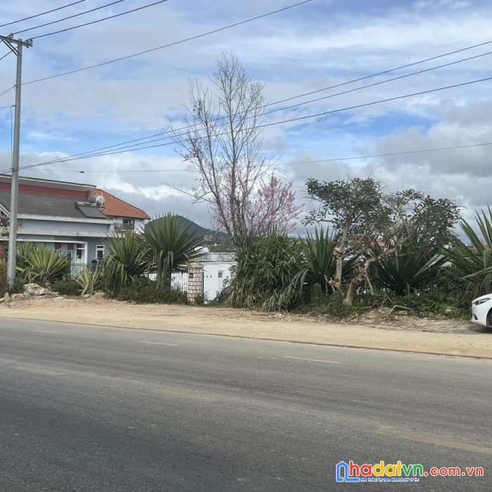 Bán đất mặt tiền kinh doanh đường hùng vương, đà lạt 476m2