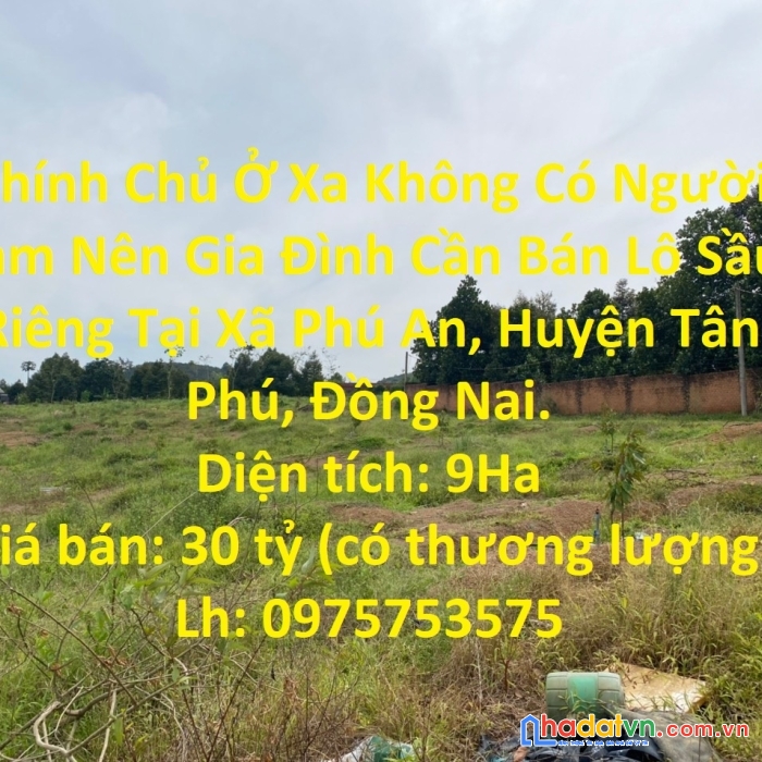 Chính chủ ở xa không có người làm nên gia đình cần bán lô sầu riêng tại  đồng nai.