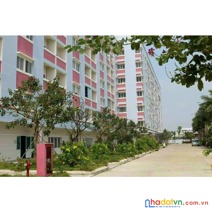 Sở hữu ngay căn hộ chung cư 444 ngô quyền vị trí đẹp tại