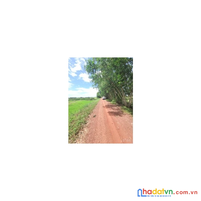 Chính chủ cần bán lô đất bình hoà bắc đức huệ long an.