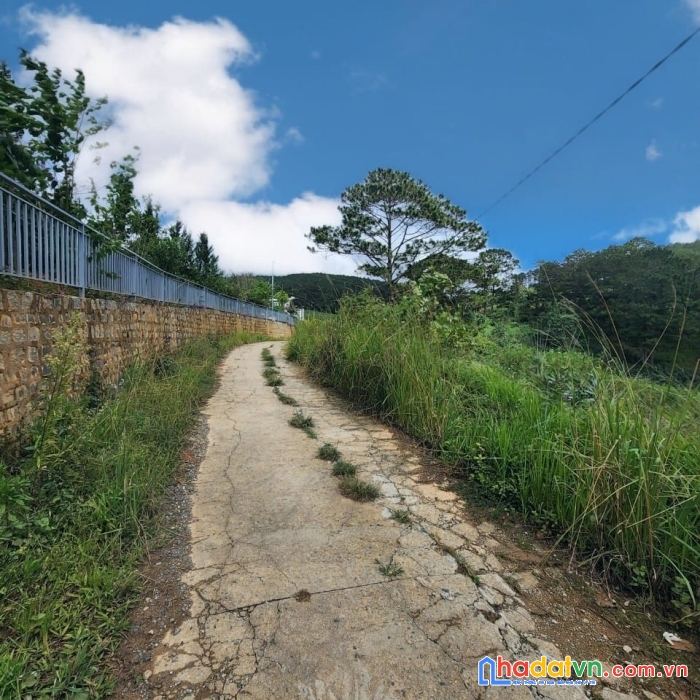 (mua ngay kẻo lỡ) chỉ 2.4 tỷ - sở hữu ngay 1000m2 đất view tuyệt đẹp tại đà lạt