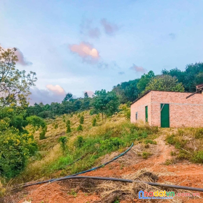 Bán đất nam rạ 1900m2, 20m m tiền đg nhựa, view hồ, đất ở, giá chỉ 3 triệu/m2