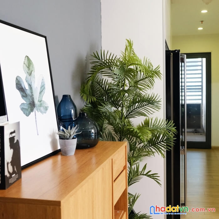 Căn hộ chung cư cạnh trường chuyên hà nội amsterdam