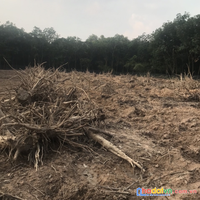 Sở hữu ngay lô đất đẹp giá đầu tư tại thị xã bến cát tỉnh bình dương