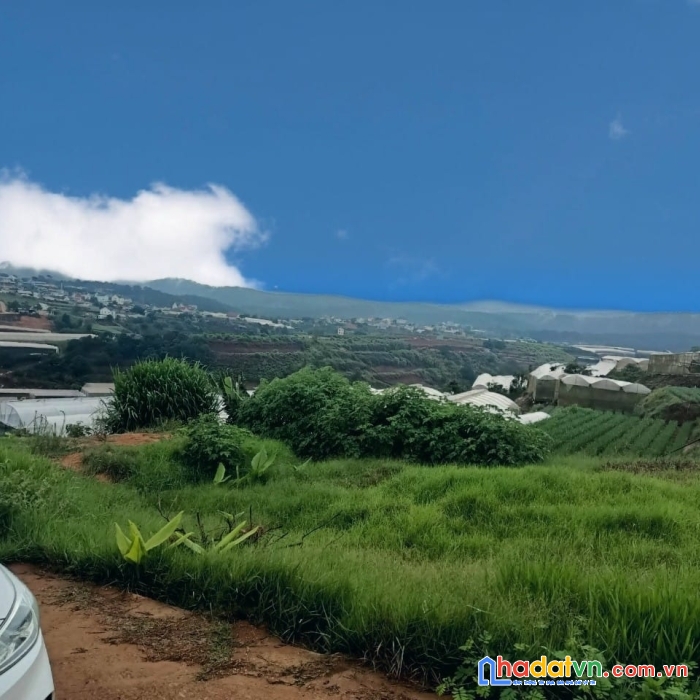 ( giảm sock ) chỉ còn 4.5 tỷ - sở hữu ngay lô đất nền biệt thự view thoáng xuân thọ, đà lạt 200m2