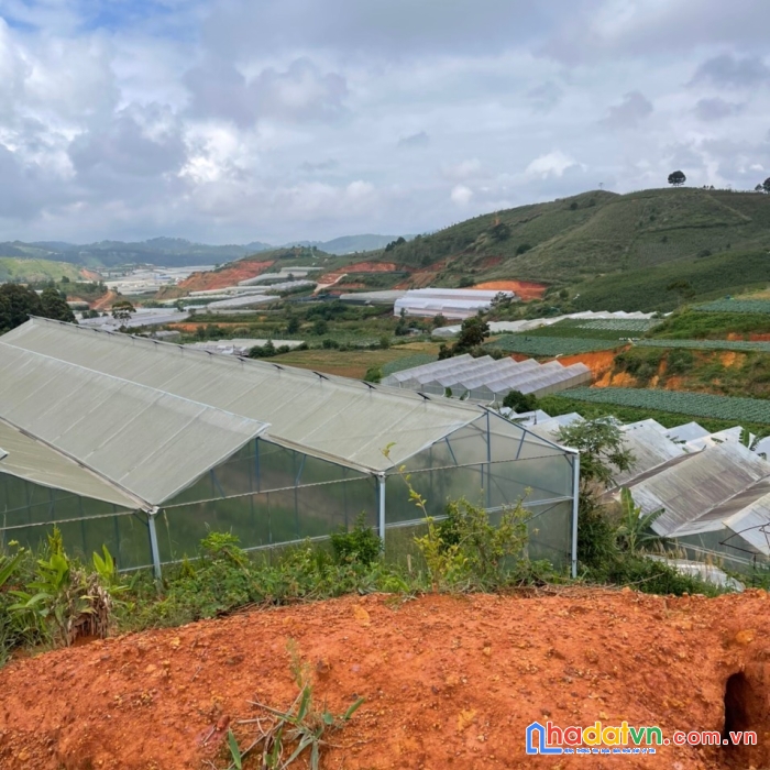 Khai xuân - chủ gửi bán gấp lô đất view thoáng tại thị trấn lạc dương, đà lạt 448m2 giá chỉ 4 tỷ