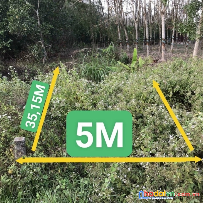 Bán đất ấp tầm lanh -gò dầu - tây ninh 5×36 ( 50,ont) giá 560tr