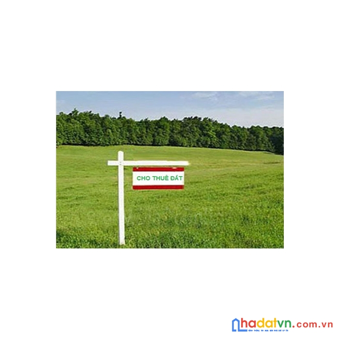 Chính chủ cần cho thuê đất mặt đường bùi viện, hải phòng_lh:0977956976