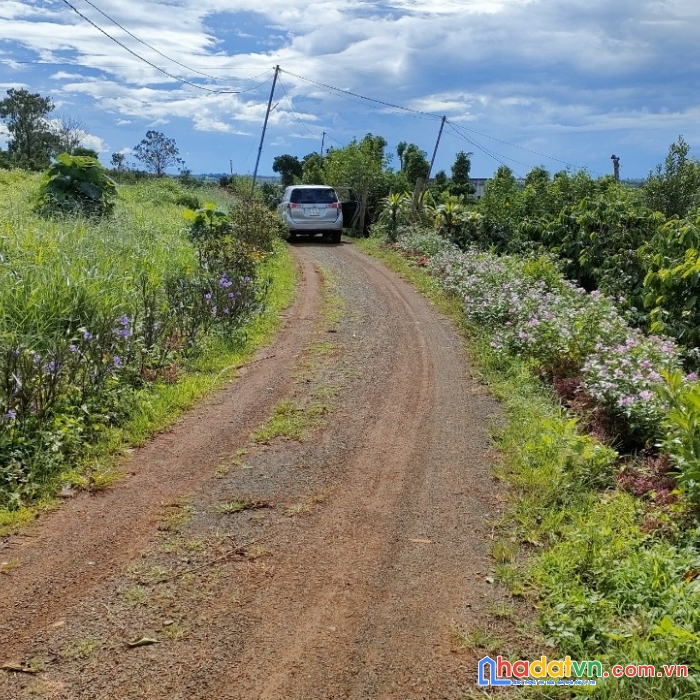 Chính chủ bán đất thổ cư lâm hà cách chợ tân hà chỉ 2km