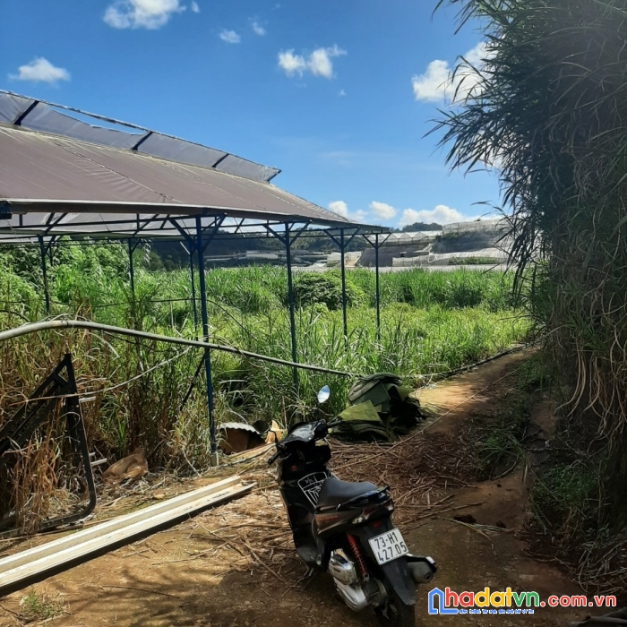 ( giá rẻ bất ngờ ) chỉ 450 triệu - sở hữu ngay lô đất khu làng hoa vạn thành, đà lạt 92m2