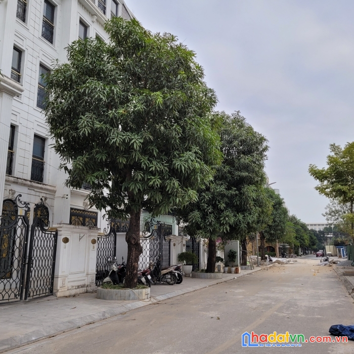 Liền kề dự án athena fulland nguyễn xiển, đã hoàn thiện