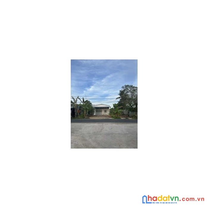 Cần bán đất nông nghiệp diện tích lớn tại hậu giang