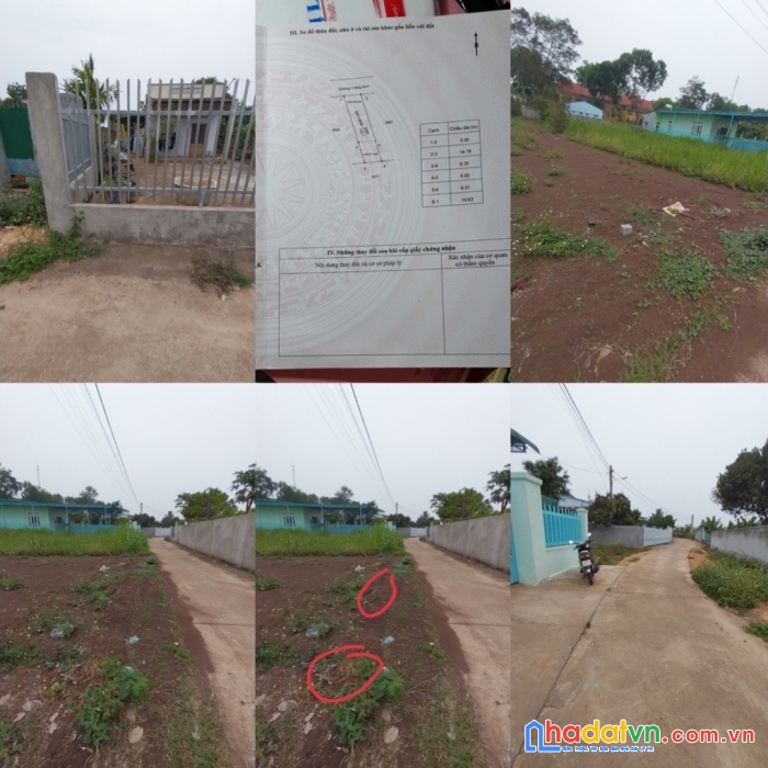 Chính chủ cần bán 2 lô đất tại tỉnh đăk lăk