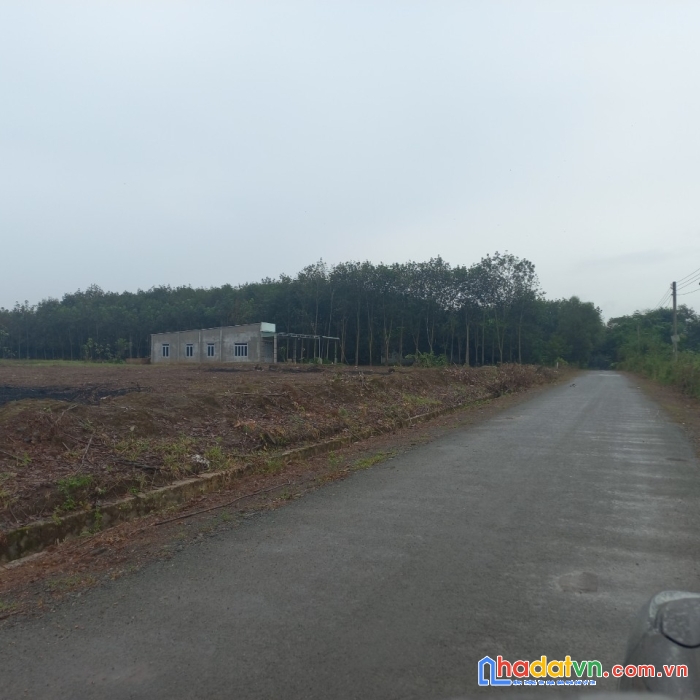 Hót**hót**hót 1 lô góc duy nhất1000m 