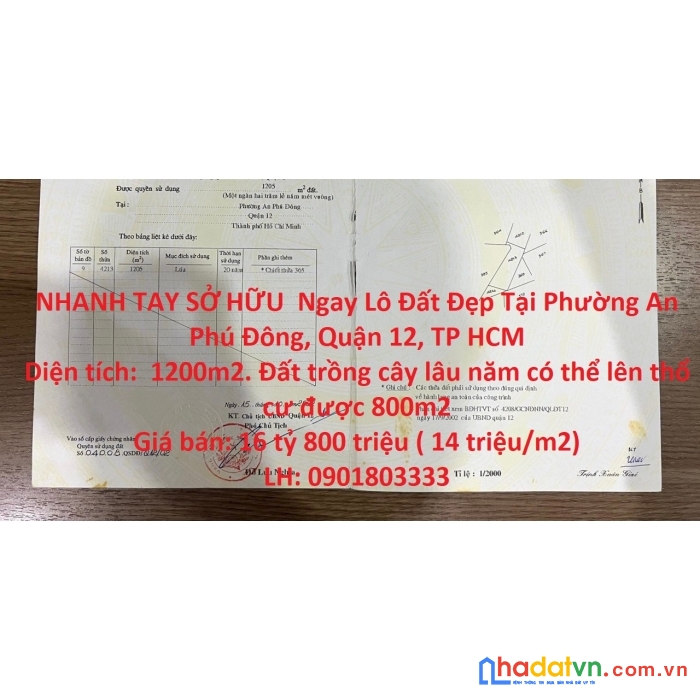 Nhanh tay sở hữu  ngay lô đất đẹp tại quận 12, tp hcm